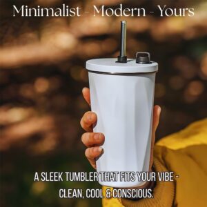  steel Tumbler with Straw